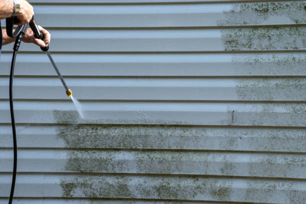 Affordable Siding Repair and Maintenance Services in Goodrich, MI